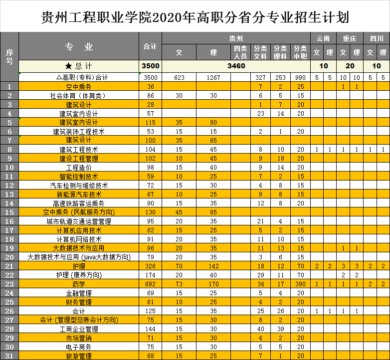 开云手机站官网2020年高职分省分专业招生计划(图1)